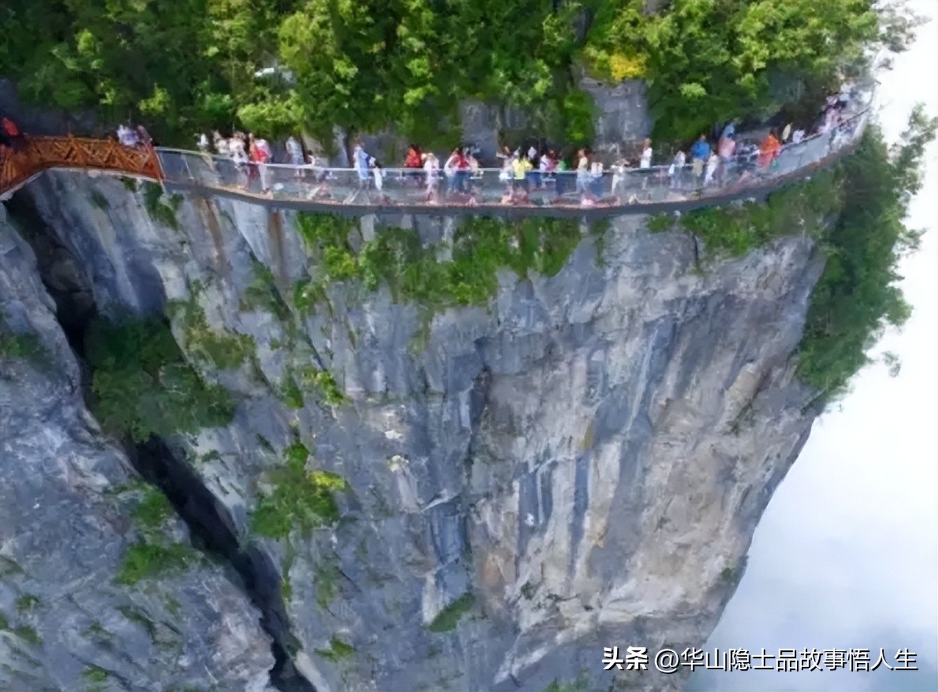 肝肠寸断撕心裂肺的视频,撕心裂肺的新闻事件