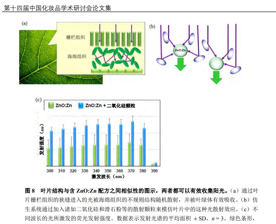 超实用的防晒,最好用的防黑防晒