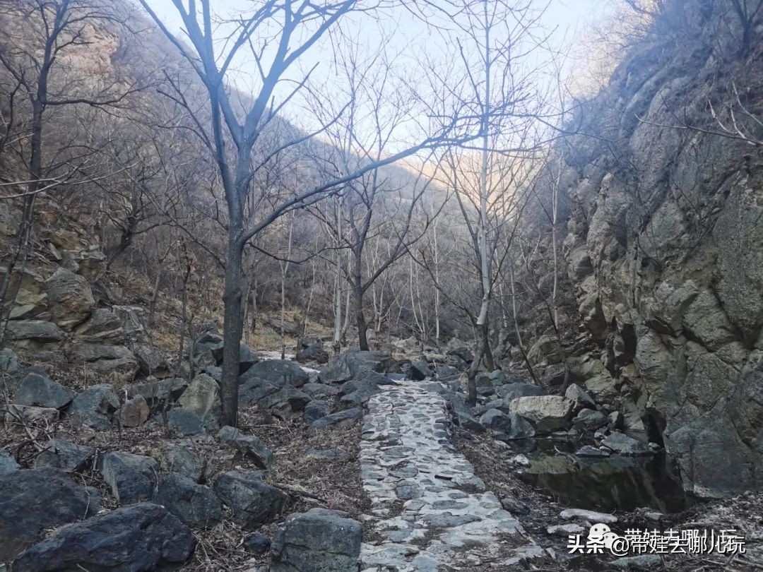 中国8条最美徒步路线带娃必去,发现一处幽静散步的好去处