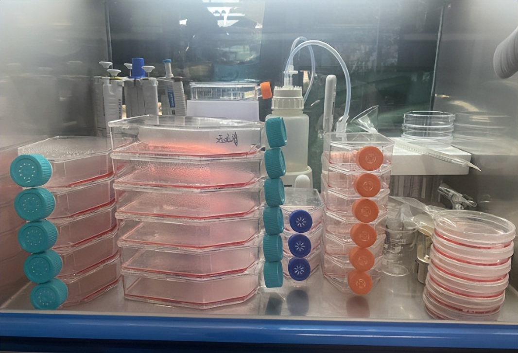 云南高中父亲研制药救儿子,父亲自学制药救治绝症儿子