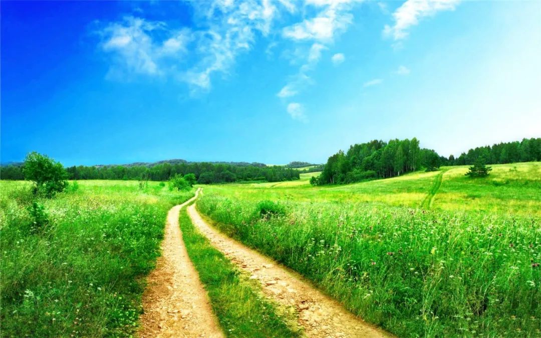 绿色生态发展之路视频,环保发展综述报道