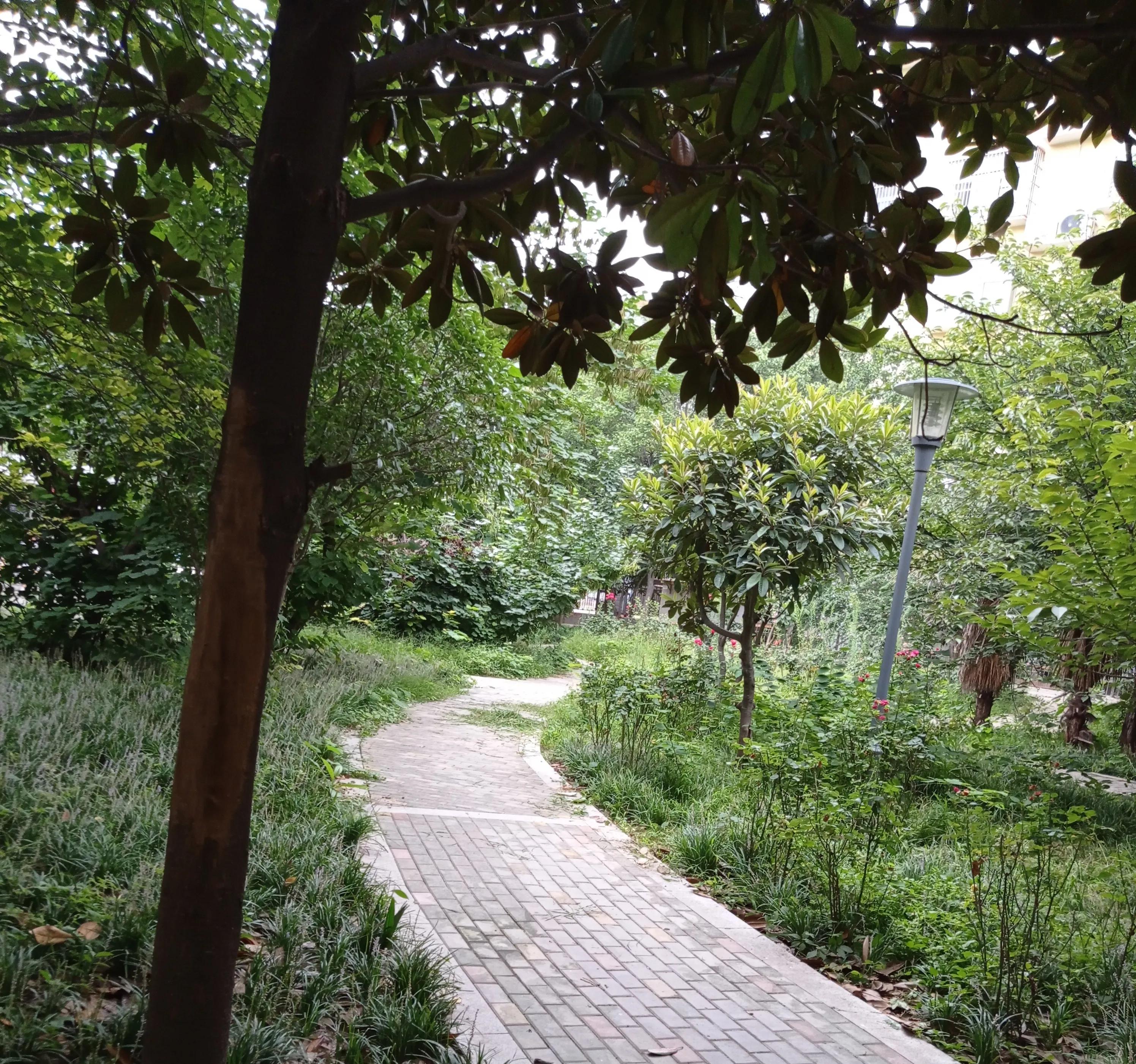 小说我的父亲是深情男二,小说我的父亲是首富