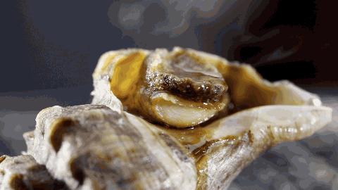 秦皇岛休渔期的海鲜哪里来,秦皇岛几月份休渔期结束