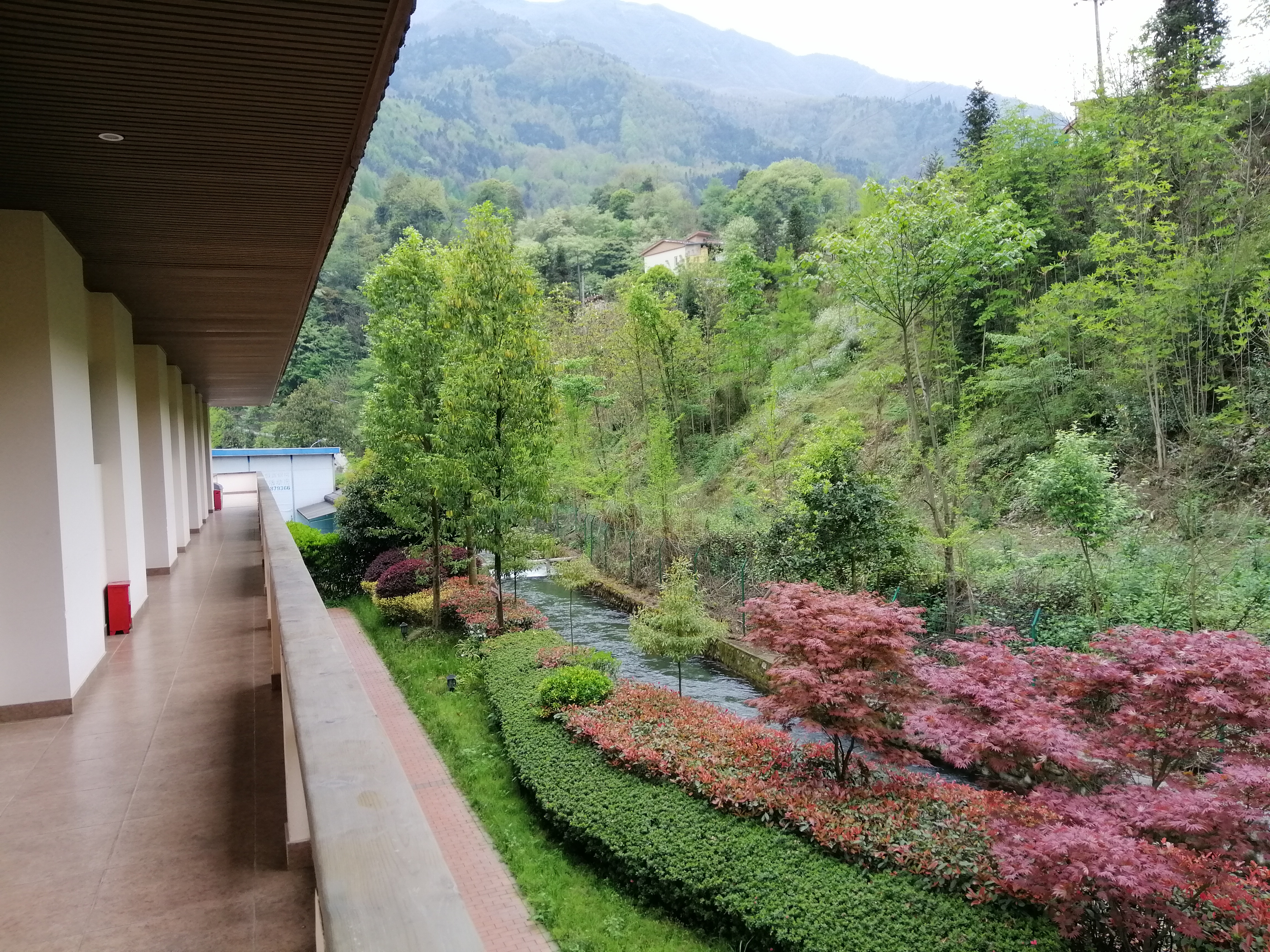 “种草”《大河恋》，解锁大虹鳟，也寻找着生命的意义