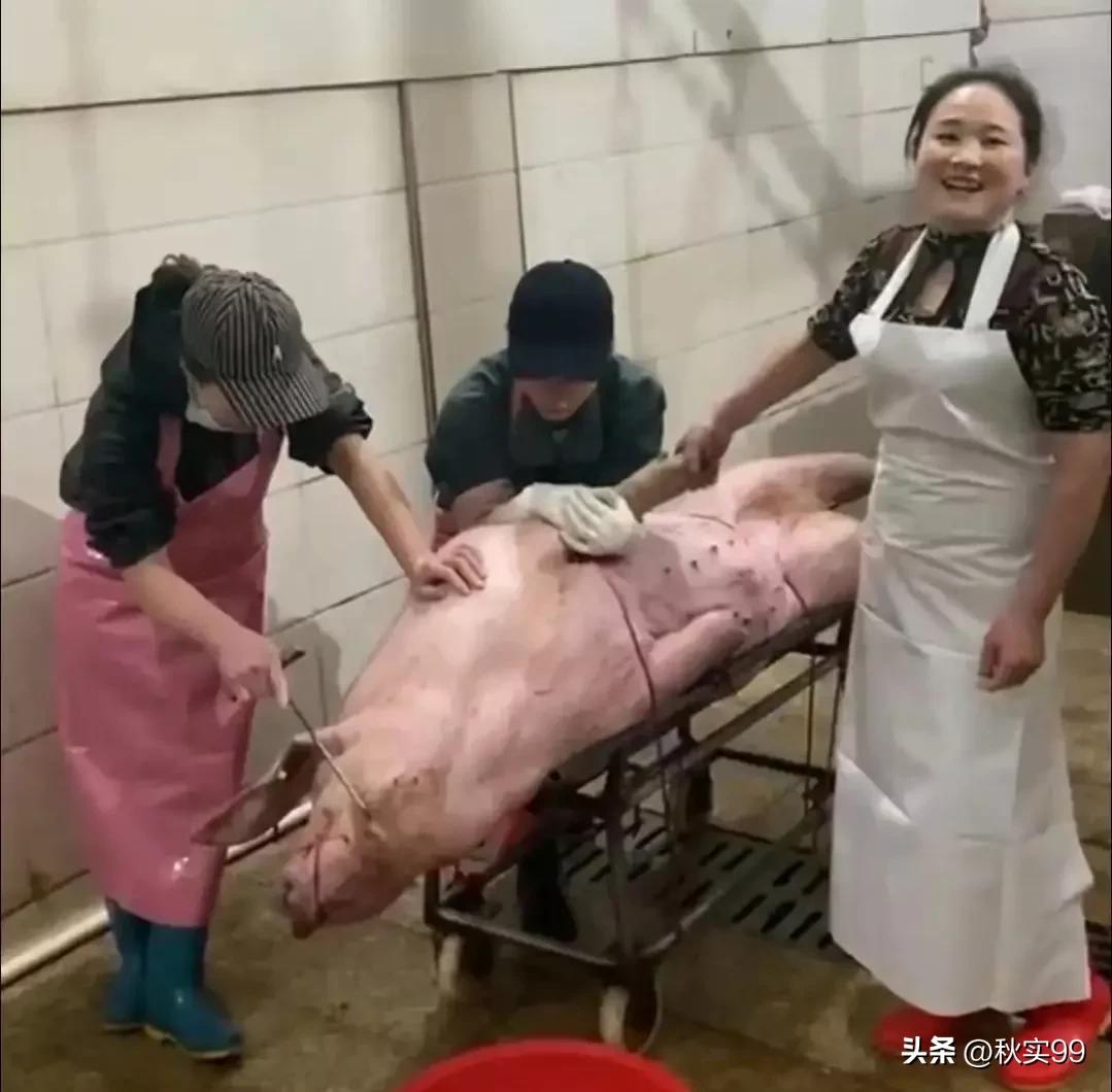 做个女屠夫,38岁女子干了14年屠夫每个月赚3万