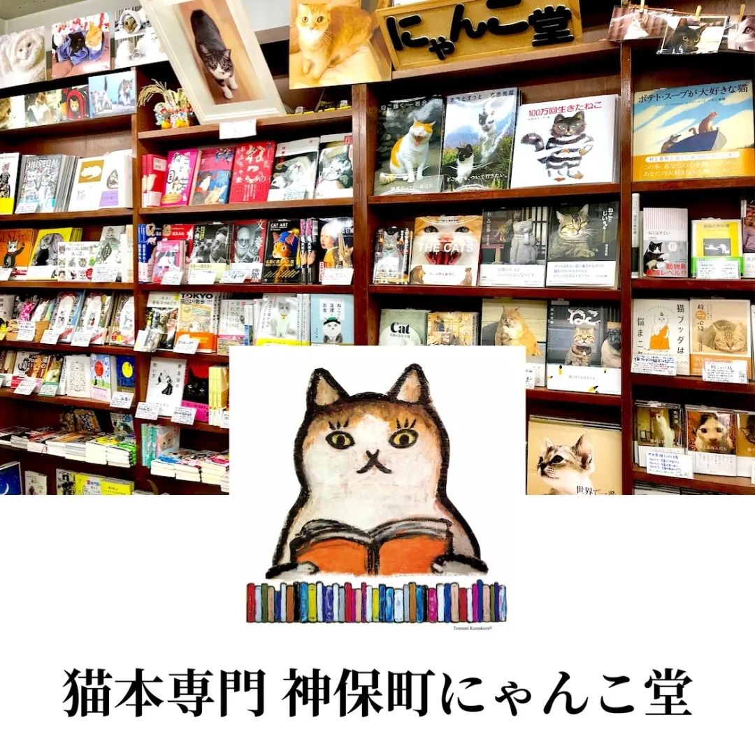 8.8国际猫咪日,日本猫的节日