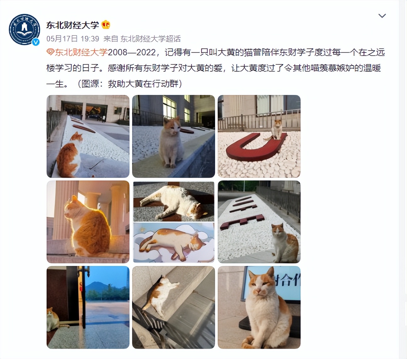 东北财经大学发讣告,东北财经大学为猫发讣告