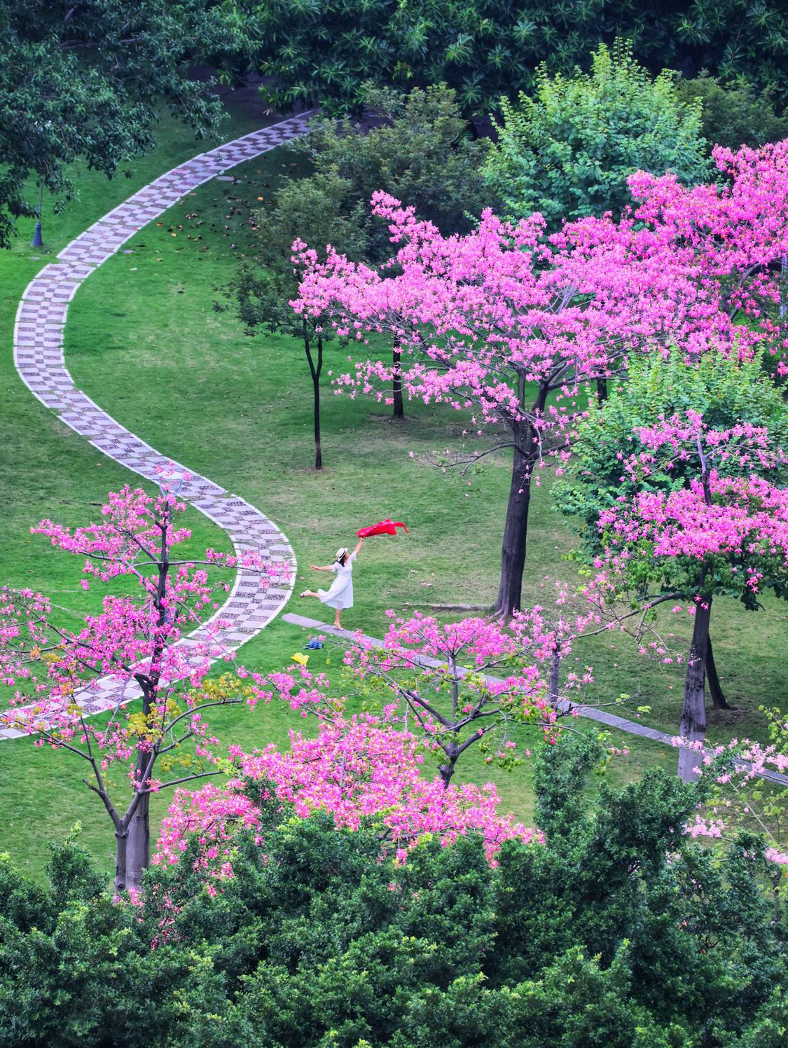 他用镜头记录旅行,他用镜头记录下了一路以来的成长