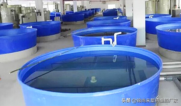 塑料水桶内青苔怎么去除,塑料水桶水锈青苔怎样去除