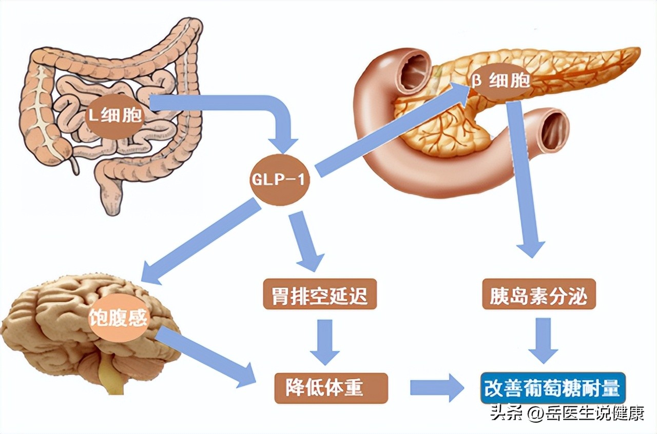 保护胰腺，就是守住我们的生命线，保护胰腺，要从这几件小事做起