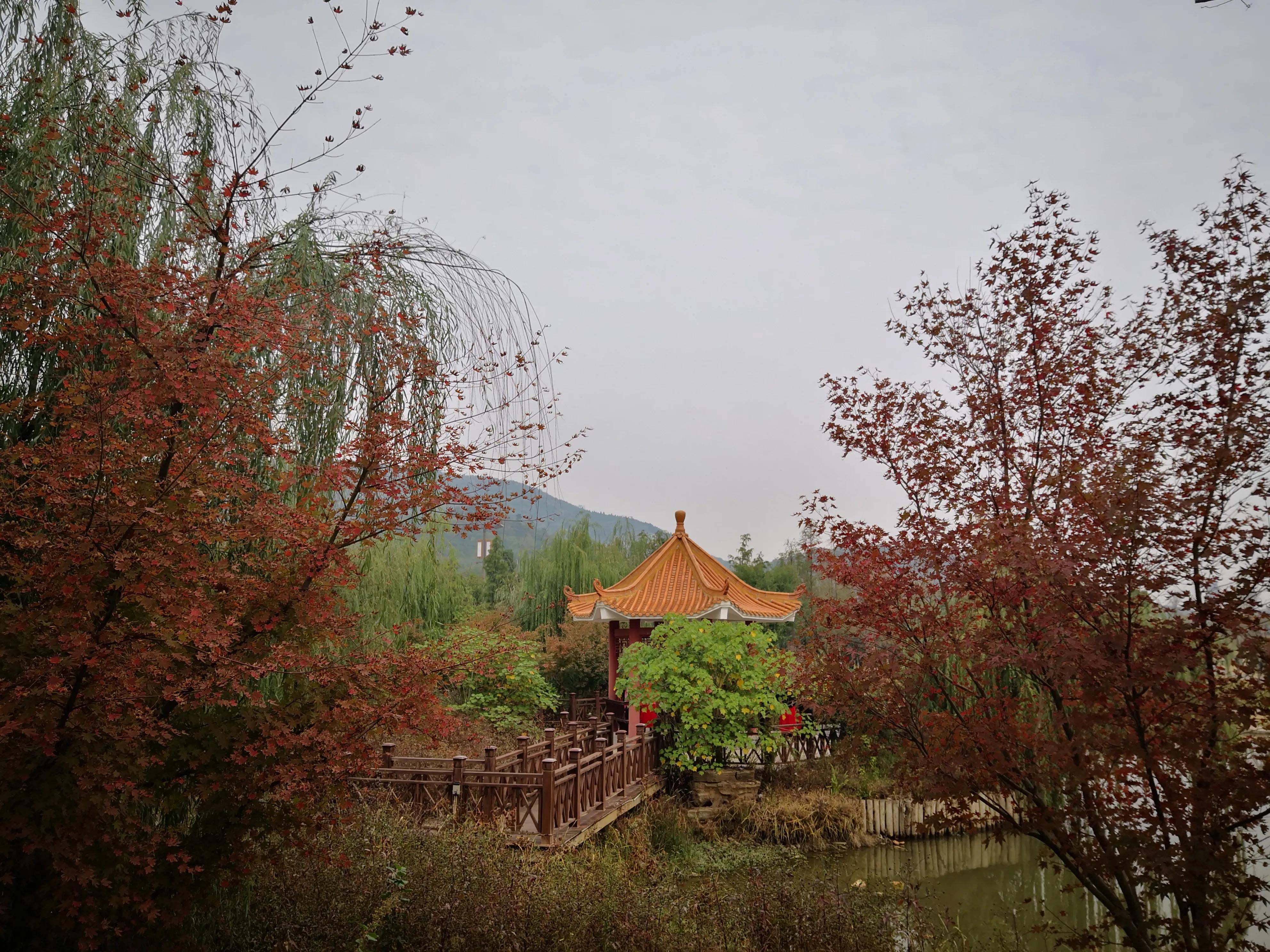 朱昌茂十首经典诗词,朱昌茂的诗句