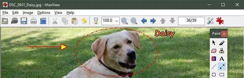 精选7个免费实用工具,推荐最好的实用工具