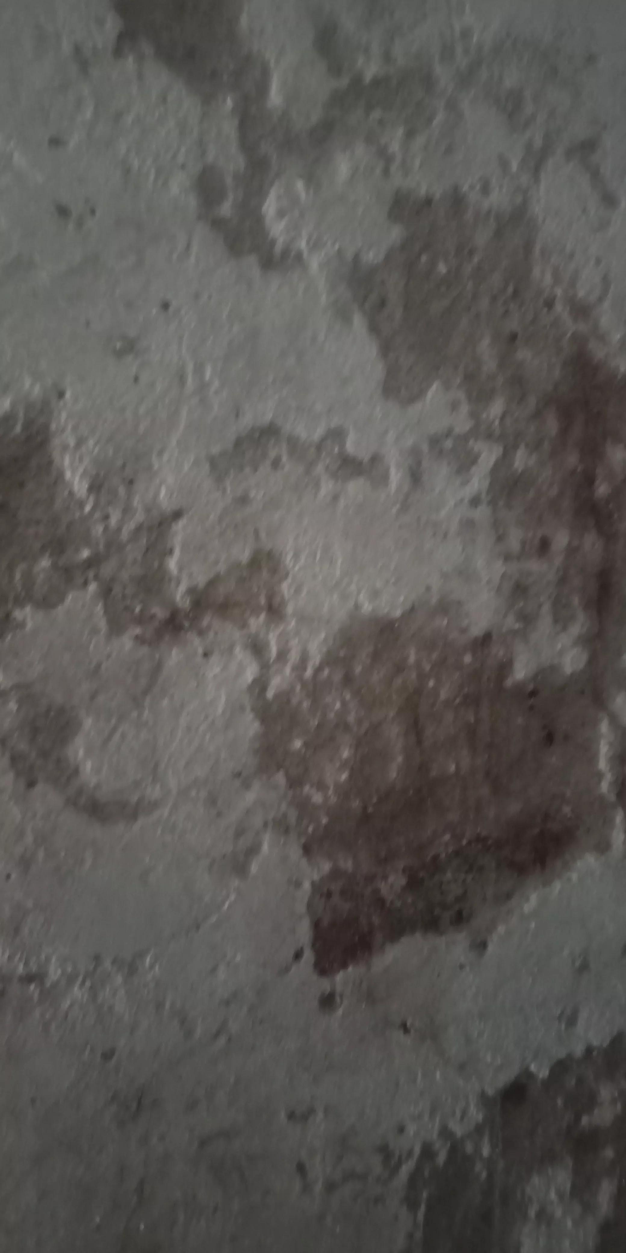 房屋漏水房顶需要怎么改造,旧房改造后楼顶漏水找哪里处理