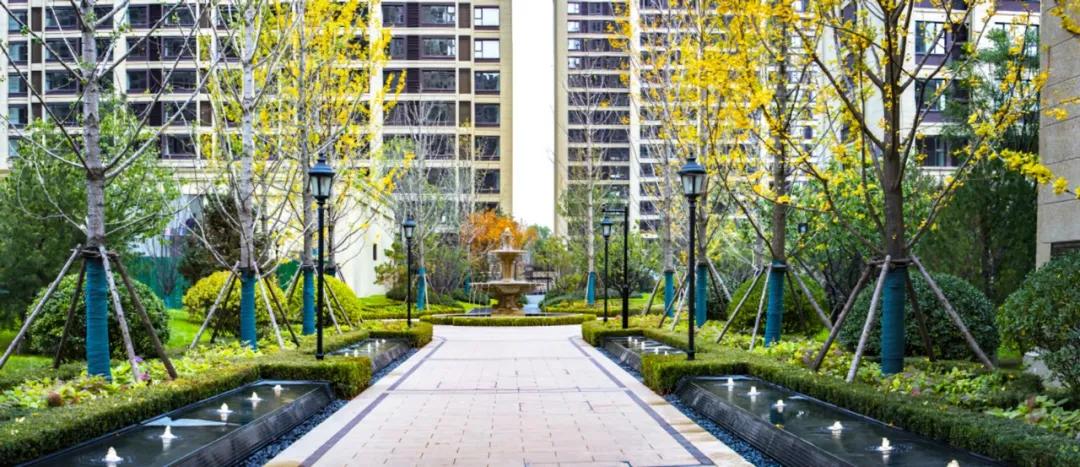 融创外滩壹号院你是我的荣耀,融创外滩壹号院生活体验