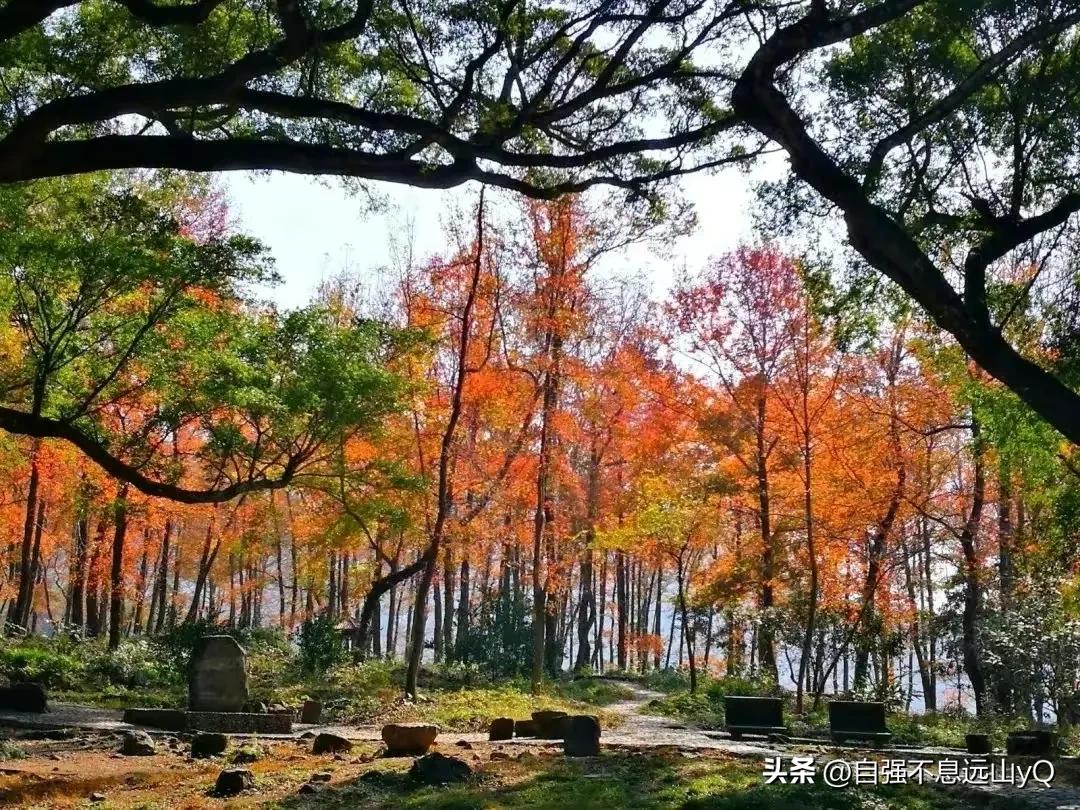 李铁足球生涯最大成就,李铁亚洲杯成绩