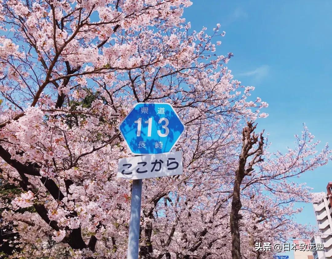 冷门国公立大学是个宝！日本读研合格前辈分享长崎大报考经历