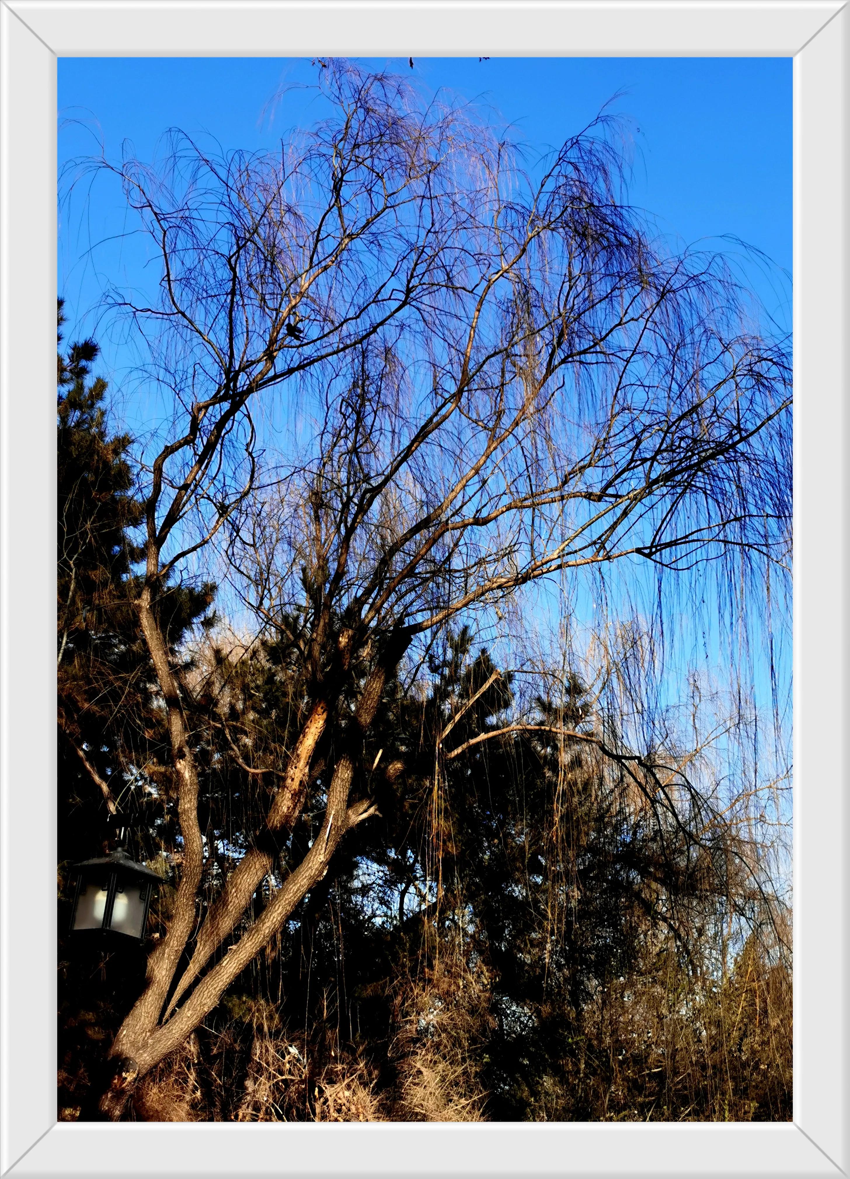 游玩趣乐,游玩陶然亭公园感受