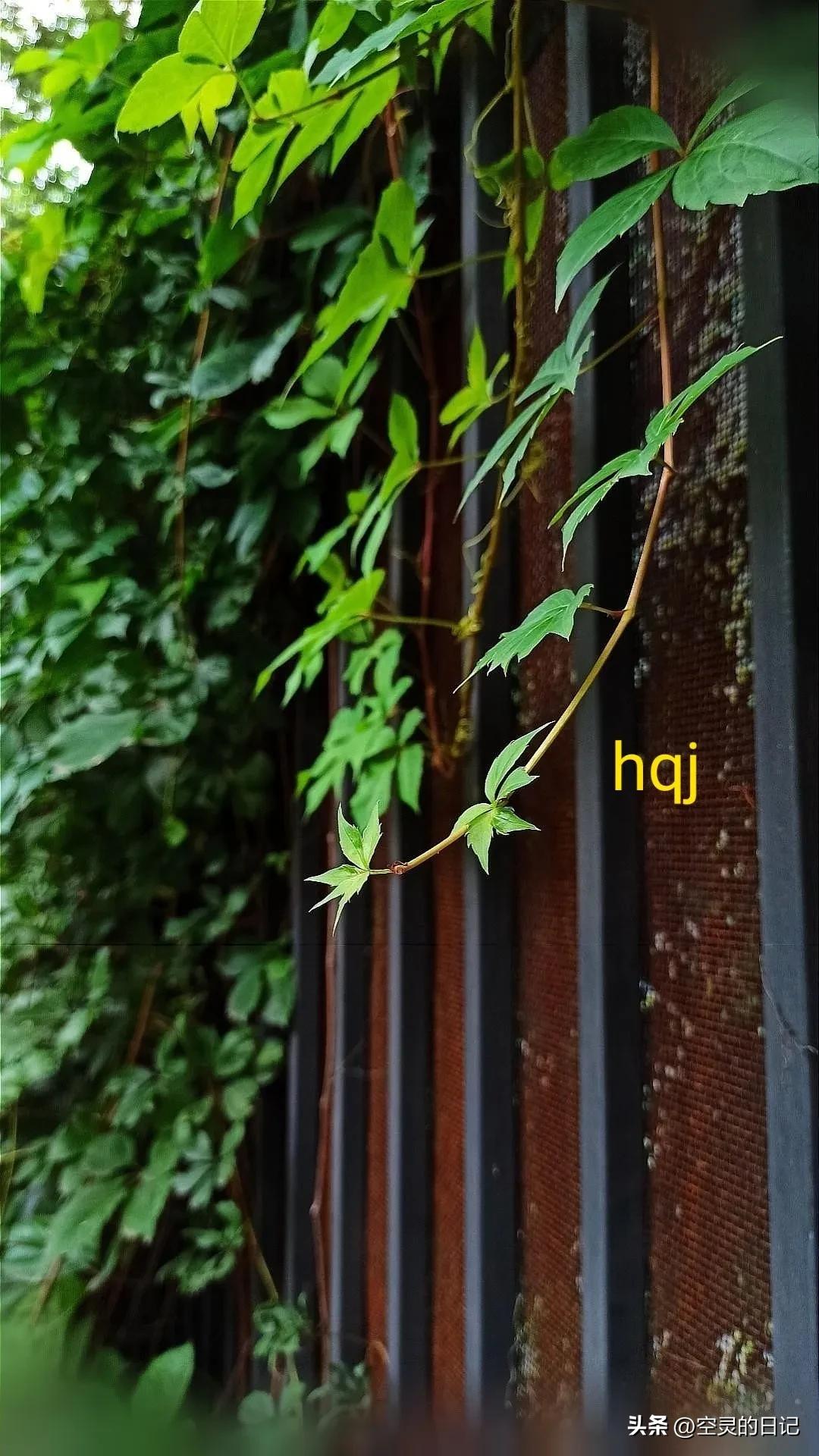 濡備綍鎵嶈兘鐪嬭浣犵殑瀹归,鎬庝箞鐪嬩綘鏄惁婕備寒