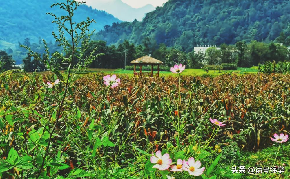 平武旅游最佳打卡地,平武县哪个镇避暑最佳