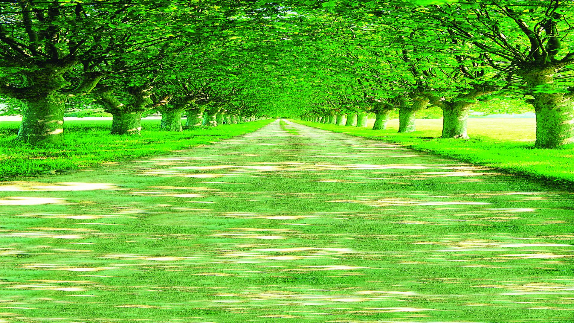 高一写景散文阅读答题,写景抒情散文阅读理解技巧