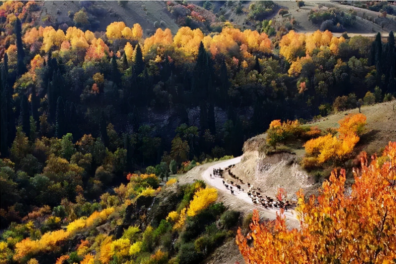 火了！新源又火了！全国瞩目，未来发展不可估量！为你的家乡比心