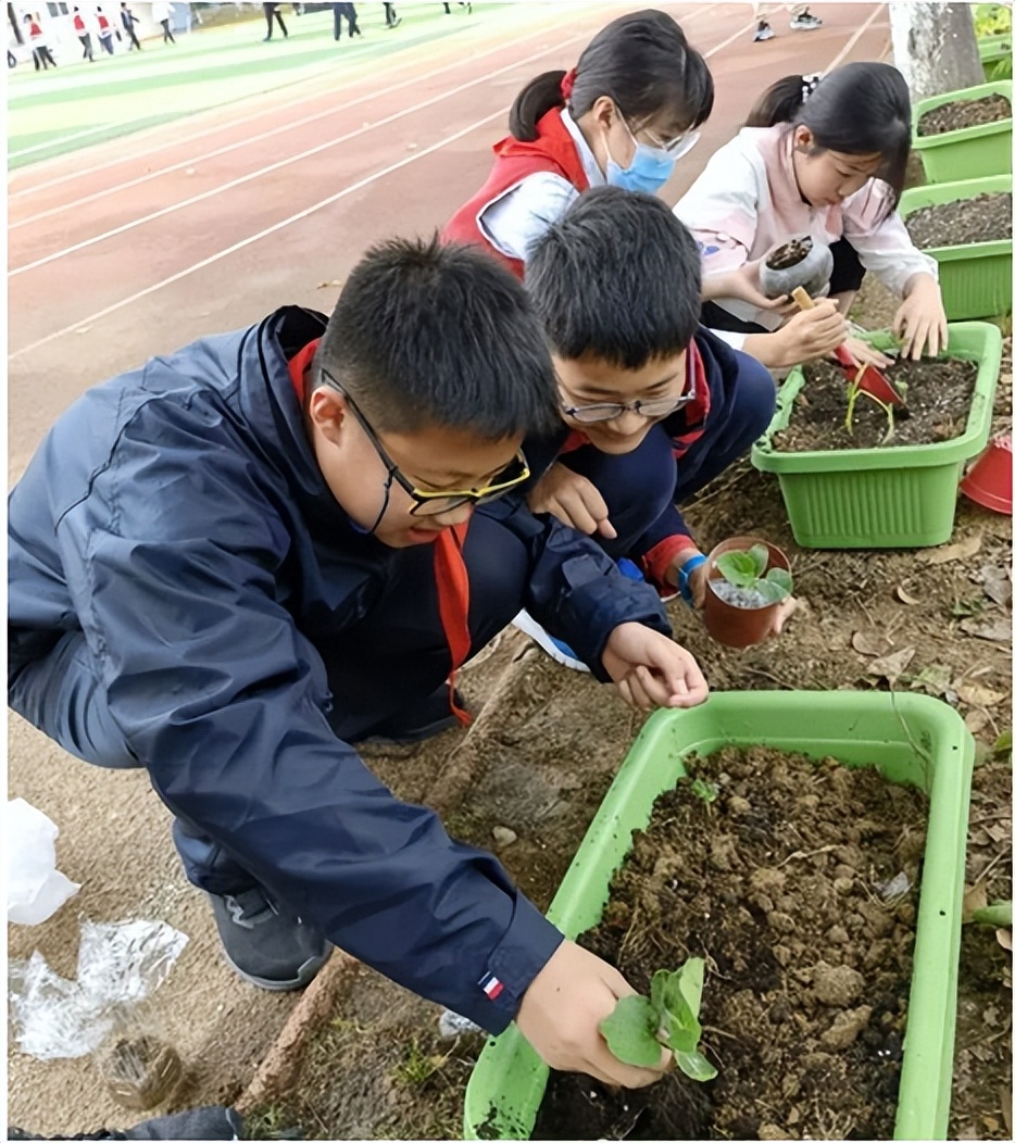 双减政策下小学教学工作总结,双减政策小学特色活动