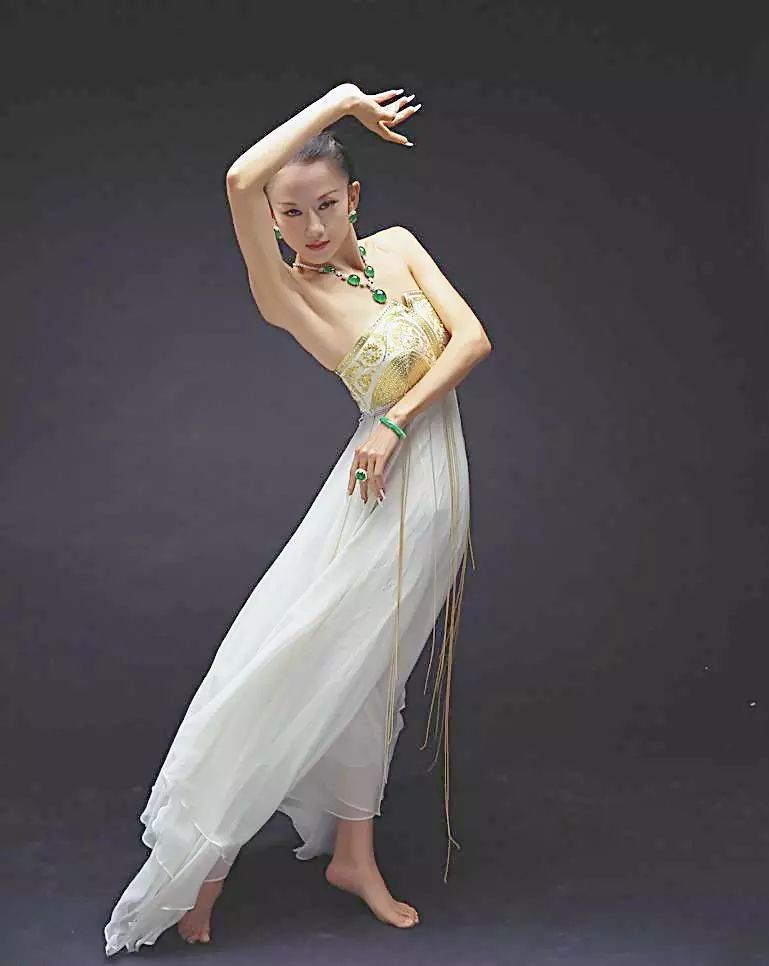 杨丽萍生活起居需要男助理照顾,杨丽萍的生活问题怎么解决