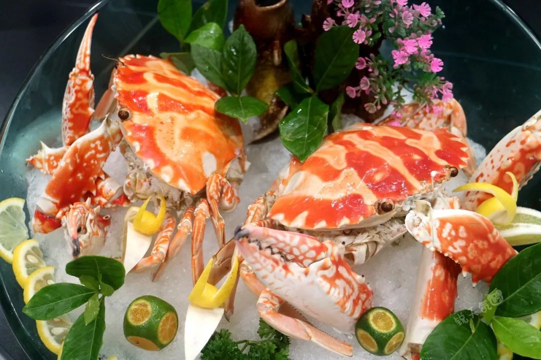 厦门海鲜自助餐红花蟹,厦门海鲜码头红花蟹