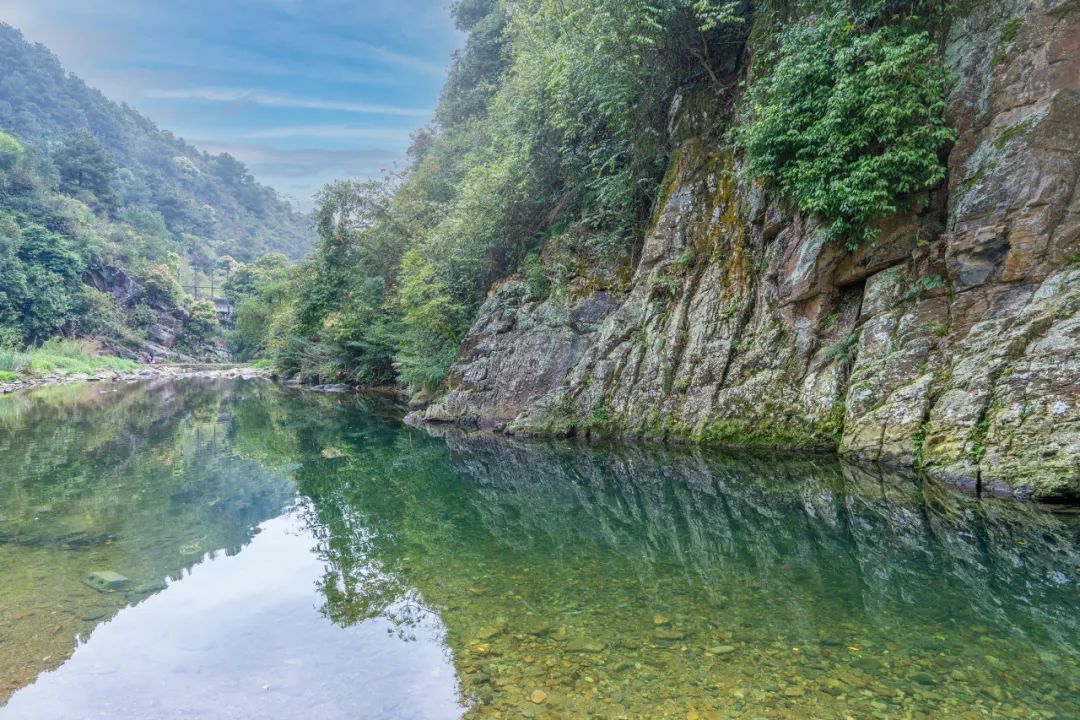 猫咪走太空步原视频最火,猫咪壁虎漫步视频