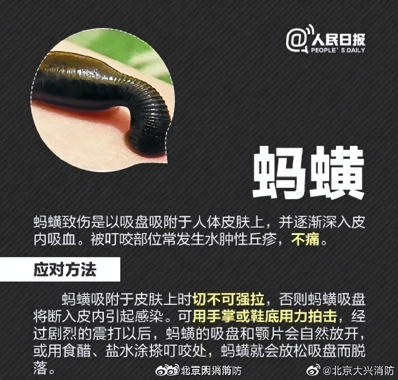 “我的脸被它毁容了…”毒液堪比硫酸！西安也有！