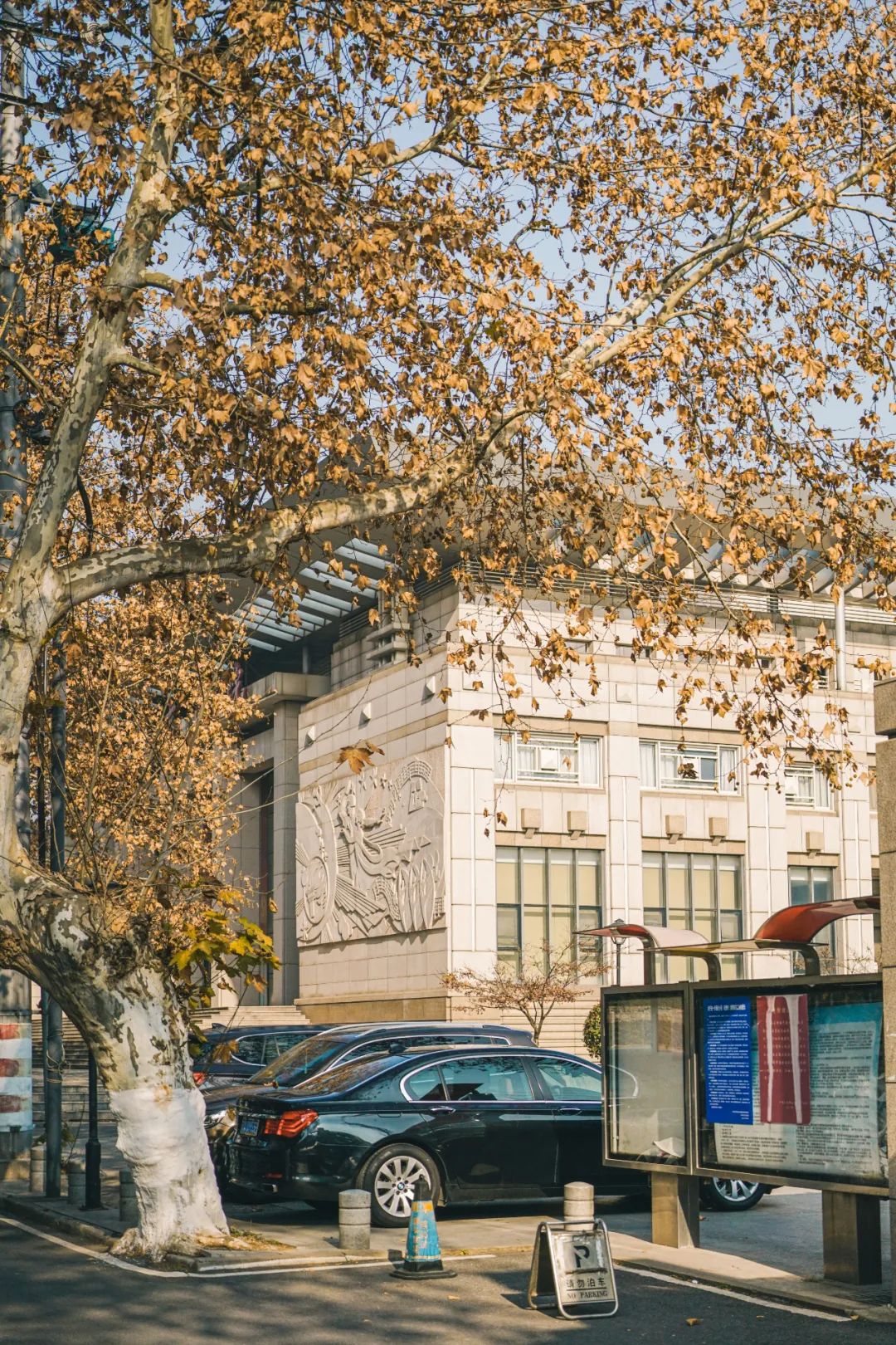 南京人的第一口奶---回到卫岗