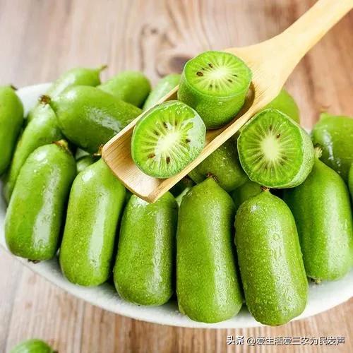 2018年最赚钱的种植项目,种植野菜亩产利润20万元以上