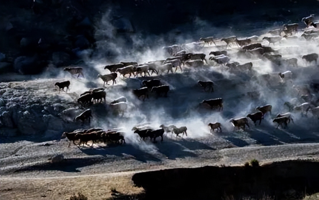 新疆一牧民发现17吨重陨石,最近新疆发现的最贵的陨石