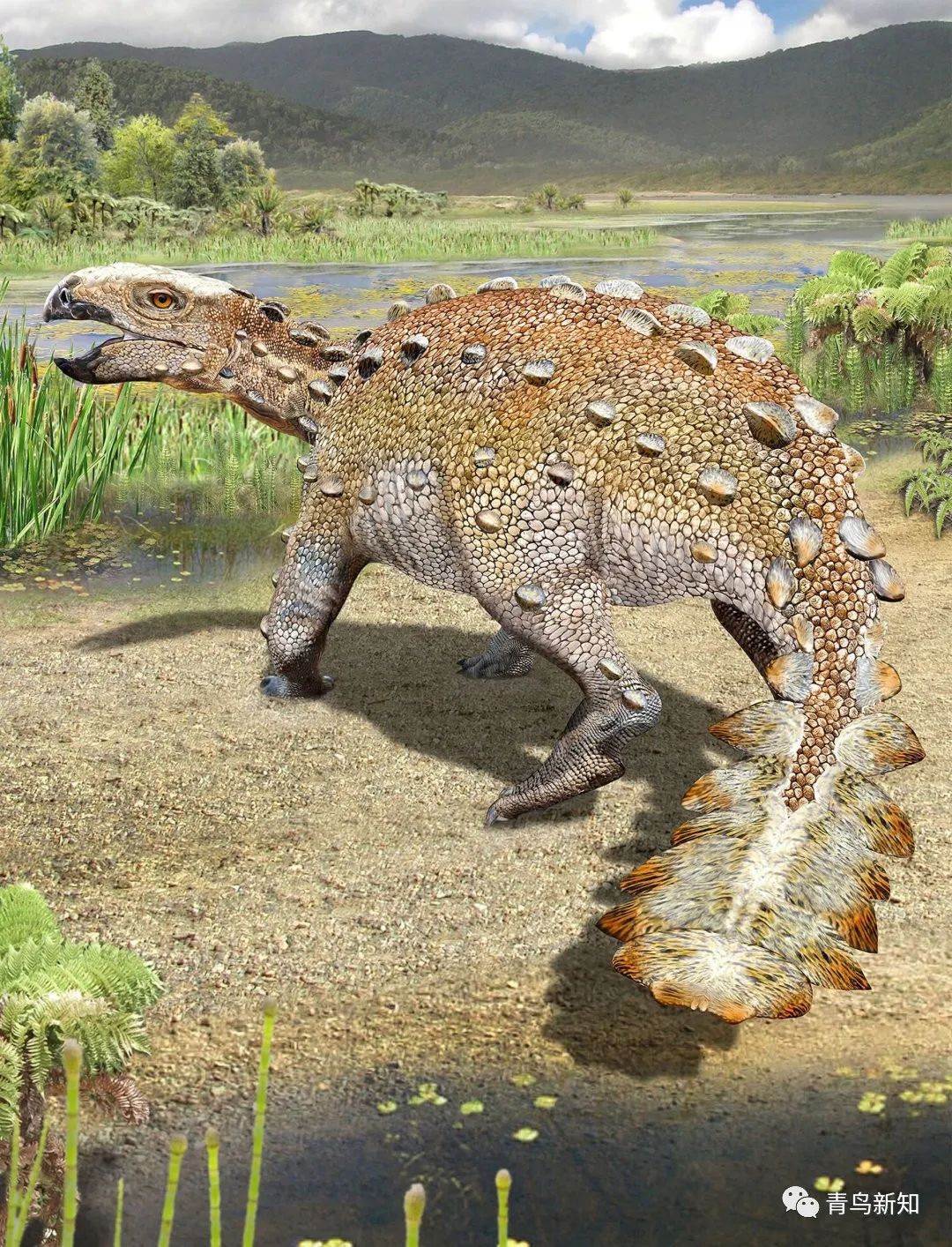 恐龙主题的铠甲可穿戴,恐龙战士怎么变身