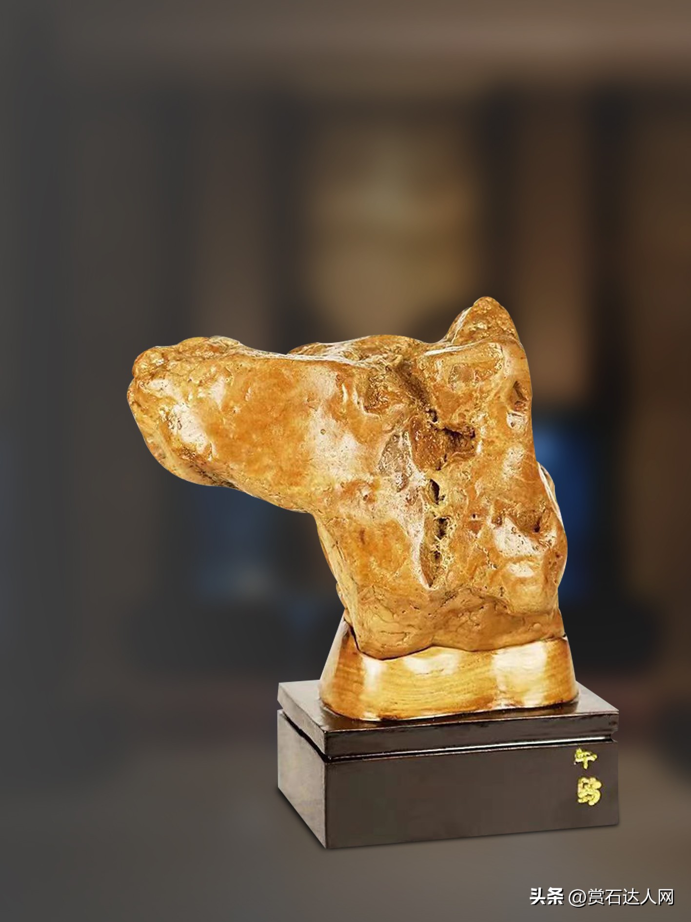 五颜六色的石头拍照,五彩斑斓的石头照片