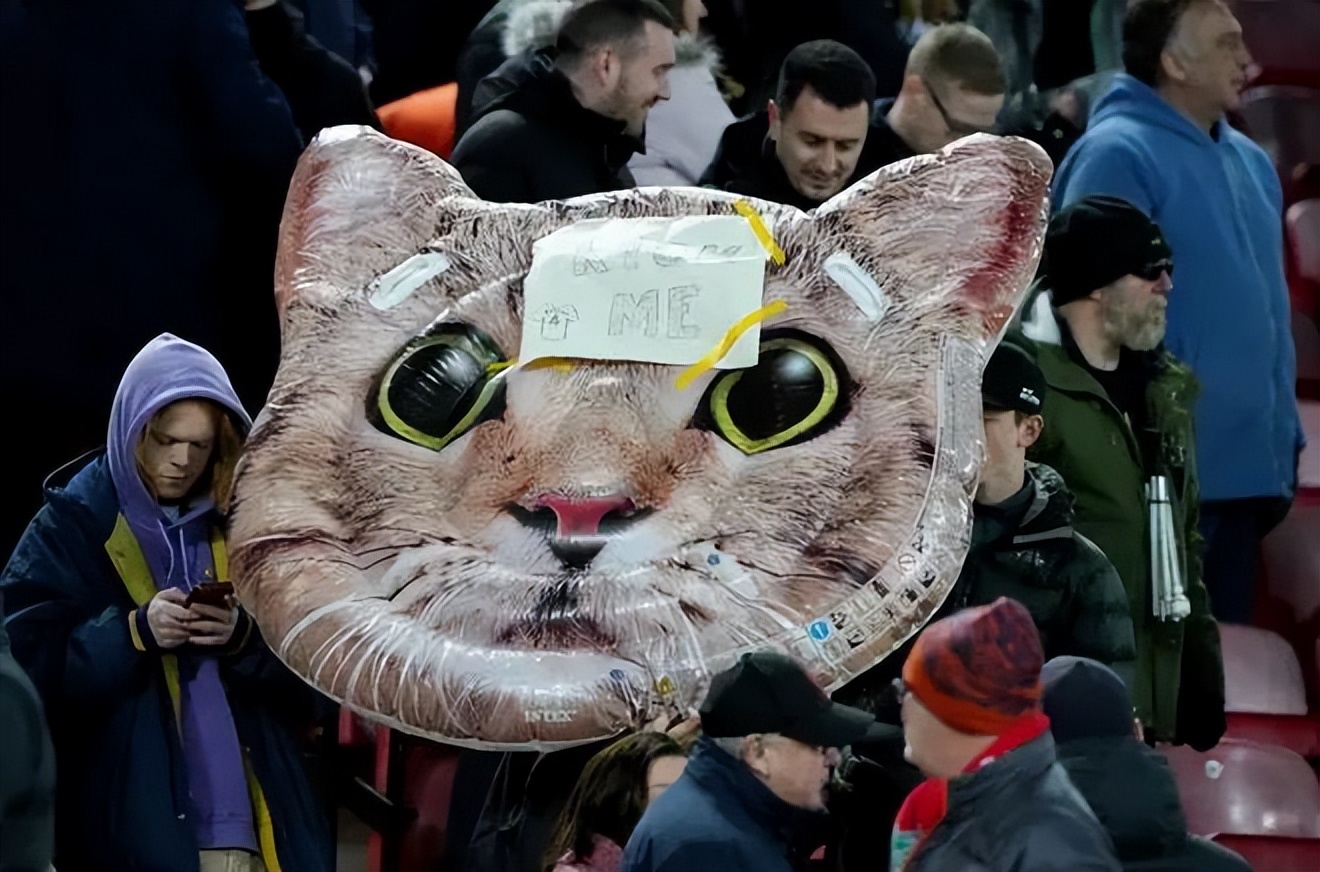 足球球员虐待狗,球员虐待狗