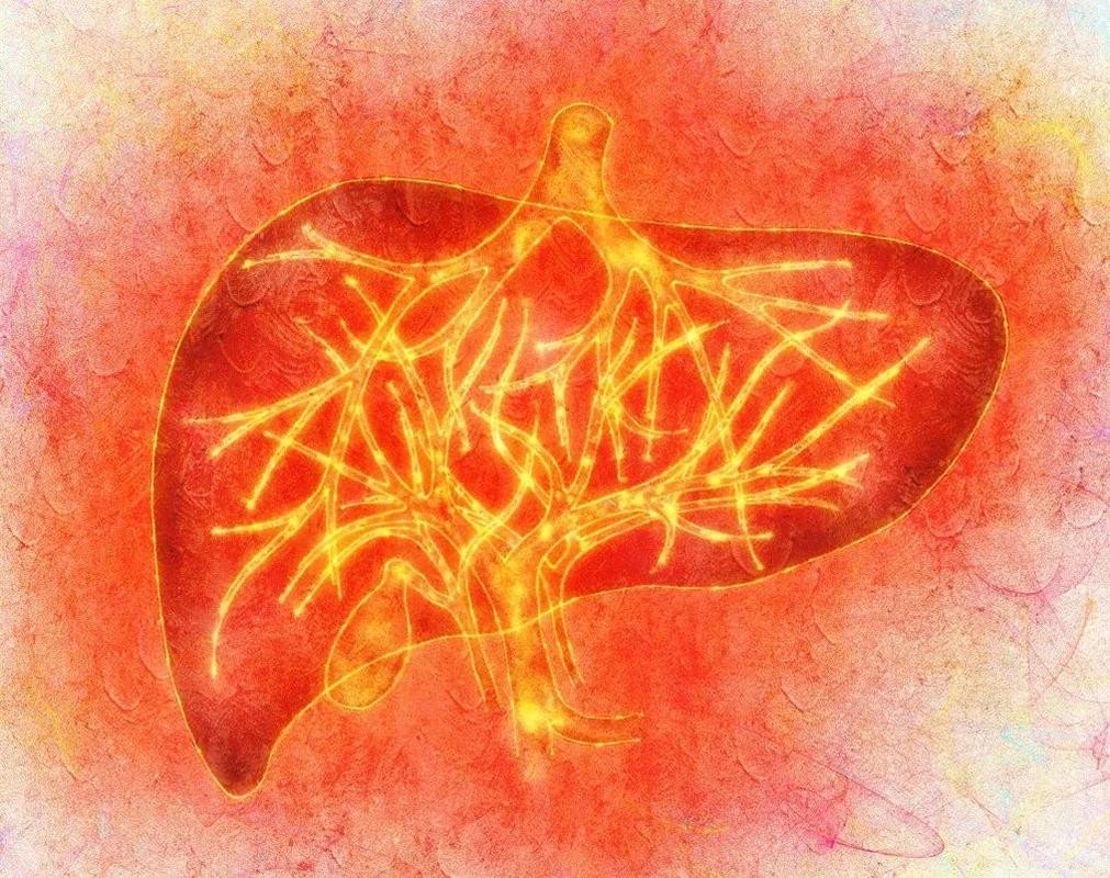 春天养肝吃什么对肝脏好呢,春天肝脏排毒包括哪几种食物