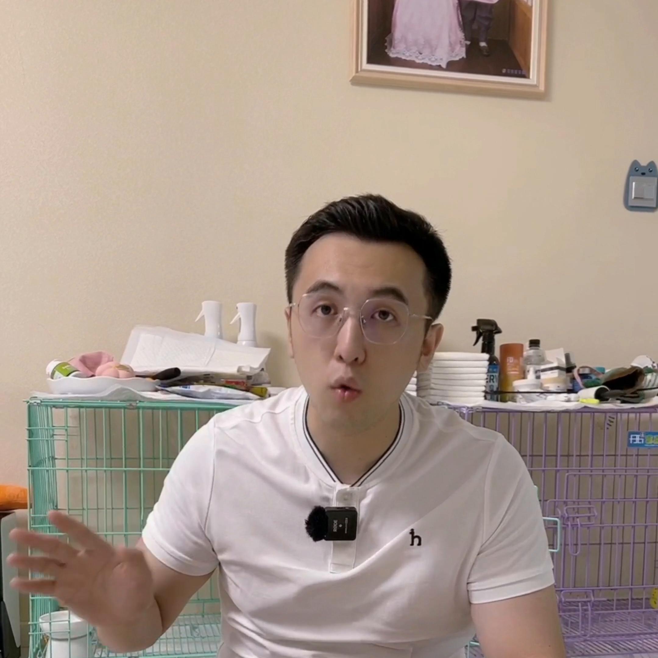 怎样让比熊毛发不打结,比熊毛发打结必须剃光吗