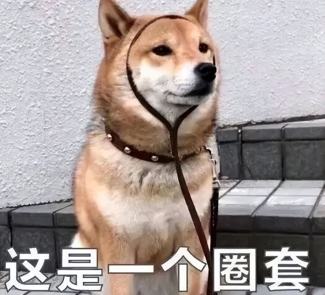 十赌十输揭秘跨境赌博危害性,十赌九输揭秘赌博骗局