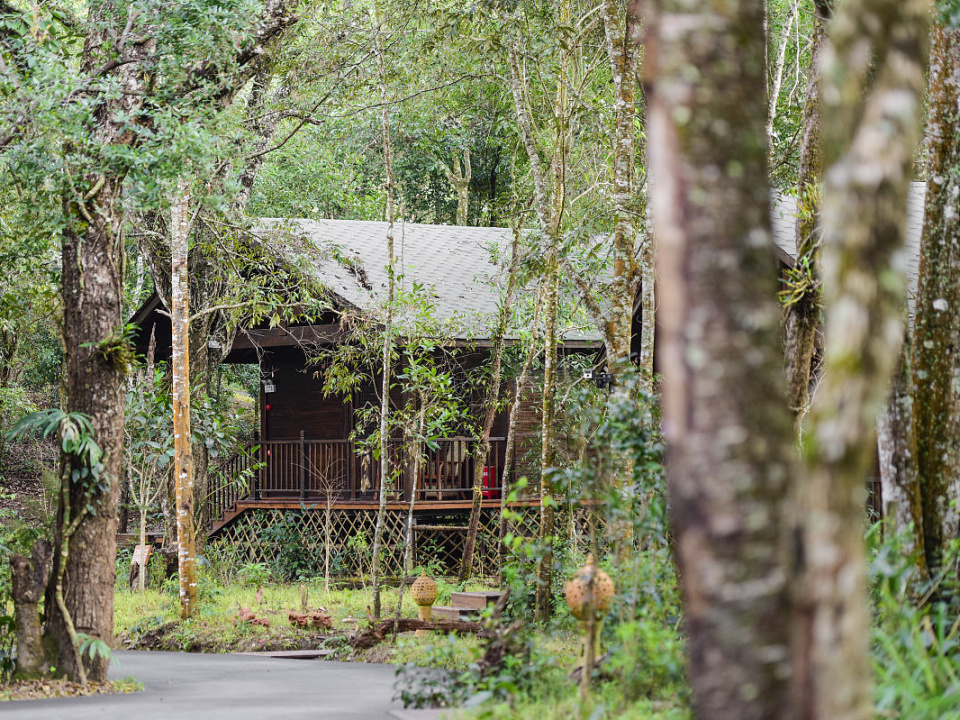 西双版纳附近更适合养老的小城,云南西双版纳最适合养老
