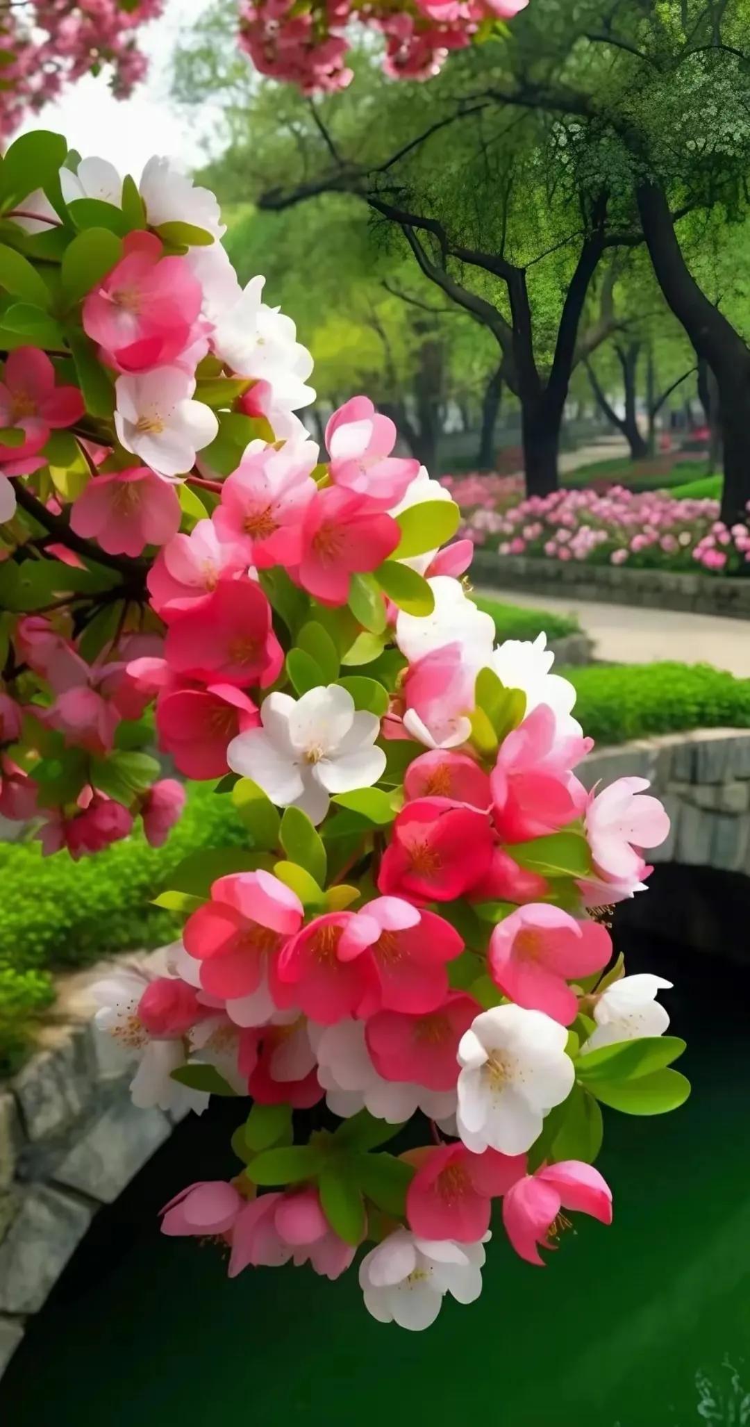 夏天就是浪漫的世界,夏天就是太阳花的世界