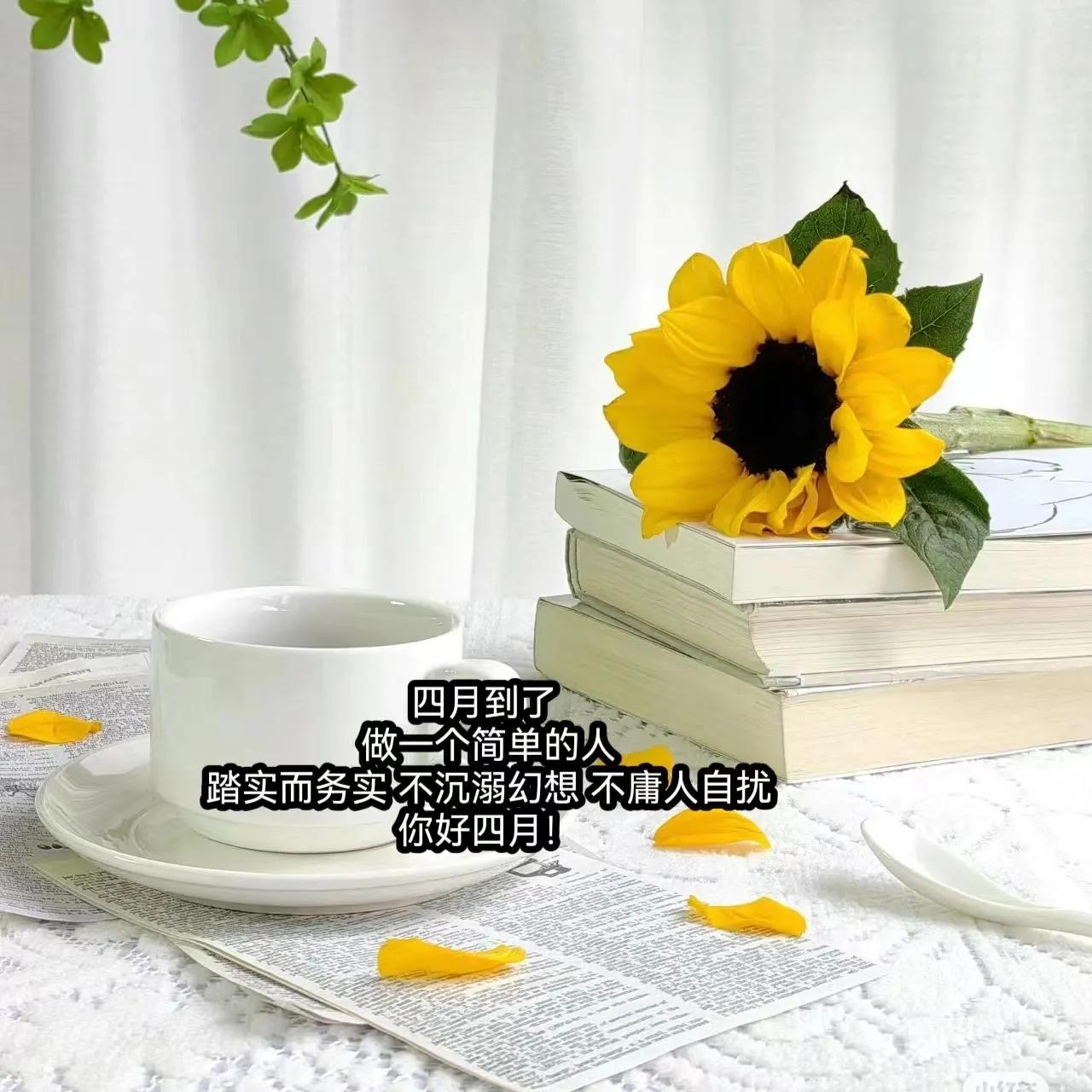 适合4月初始发朋友圈|群发的图文