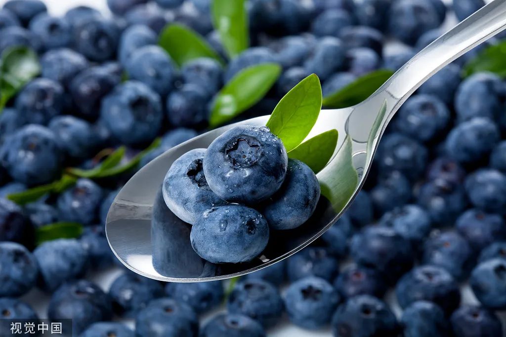 每天吃一盒蓝莓会发生什么,缓解视力吃蓝莓叶黄素有效果吗