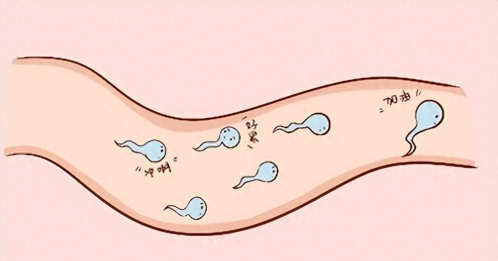 穿越时空的勇士,穿越时空的小战士