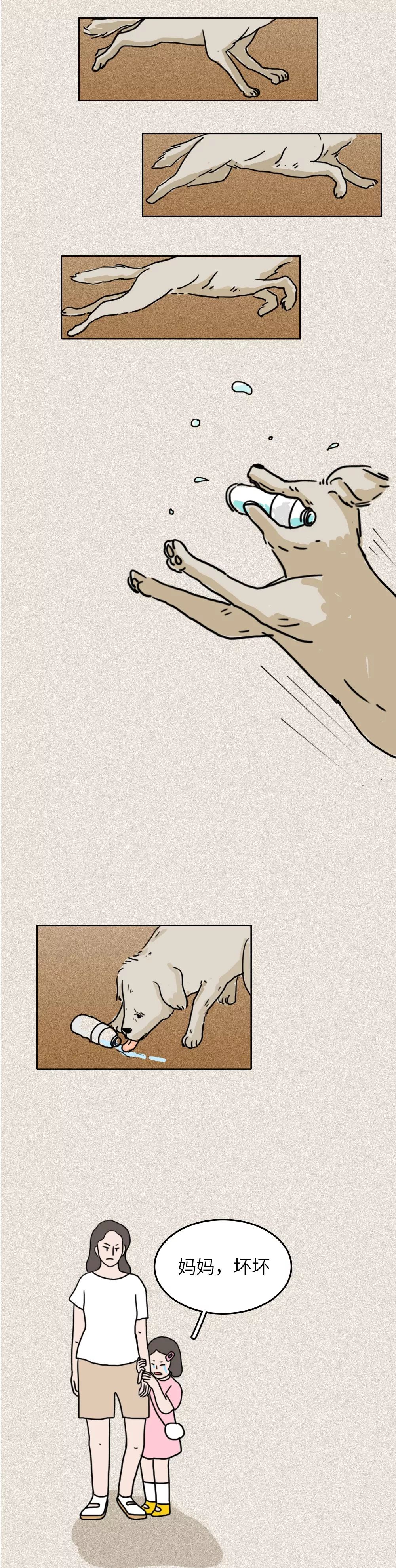 救救我36关怎么过,一只流浪狗自述