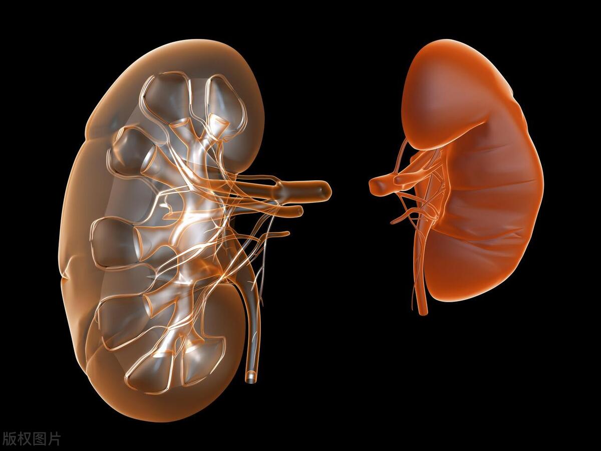 月经期不小心喝牛鞭汤,给老公做鸽子羊鞭汤