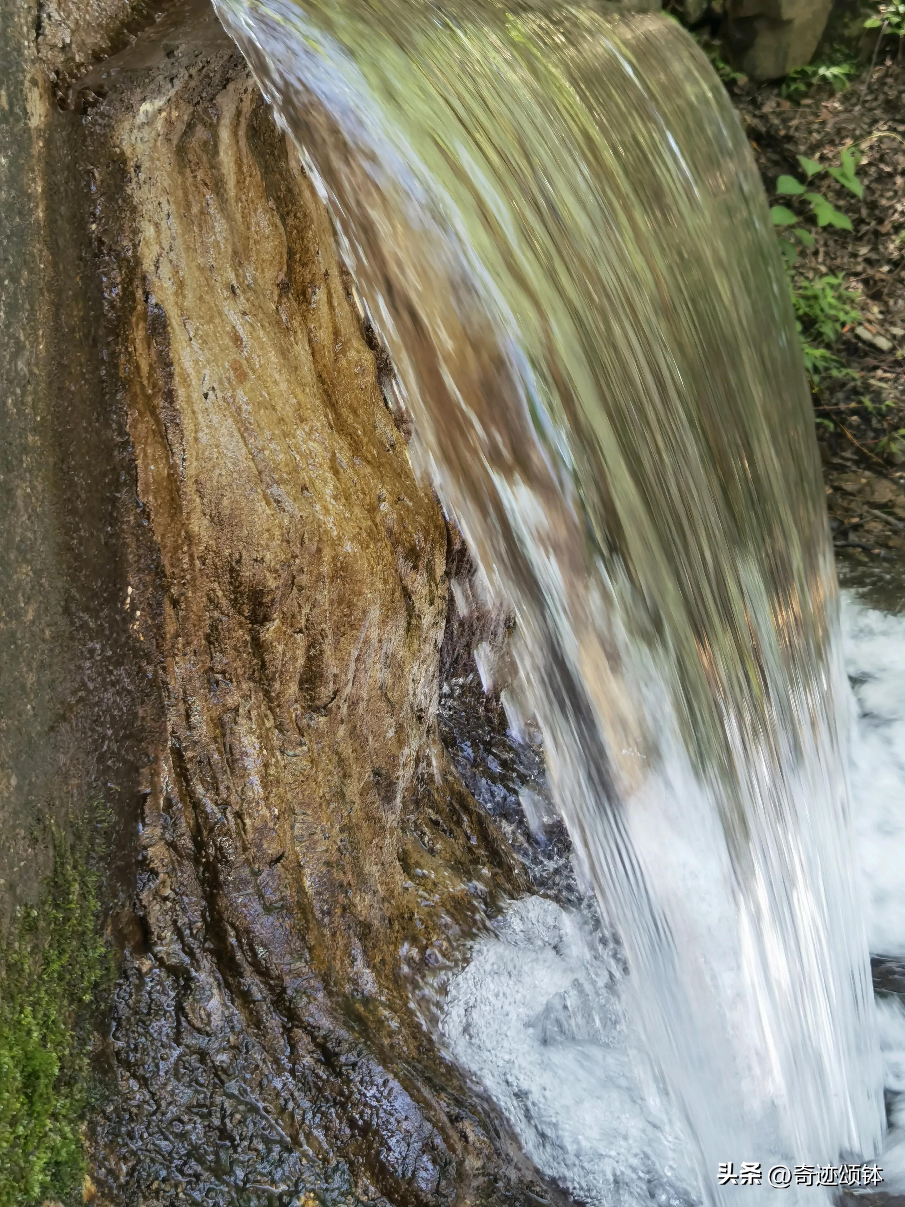 山有木兮木有枝全文,山有木兮木有枝完整诗词