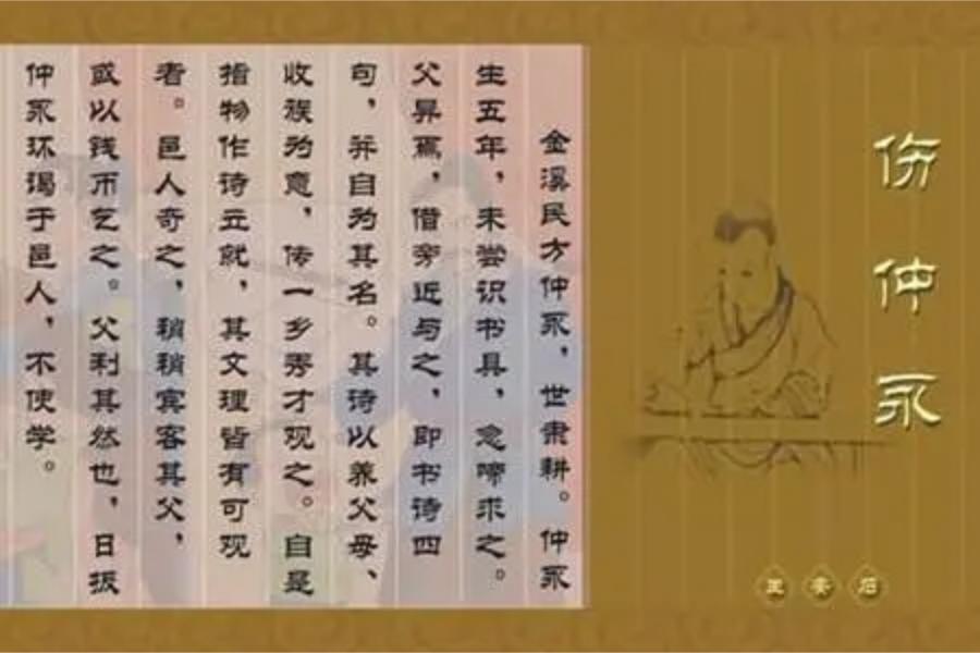 智商230的华裔数学家陶哲轩,华裔数学家陶哲轩智商