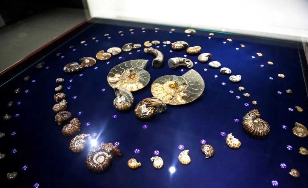 青岛黄岛网红打卡景点横屏,青岛网红打卡圣地大学路