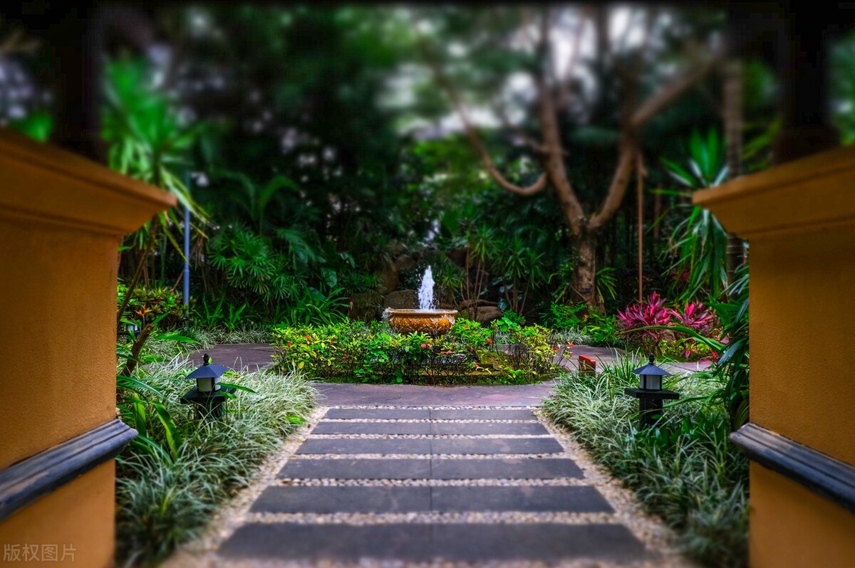 西双版纳避寒避暑的雨林仙境,西双版纳避寒过冬优缺点